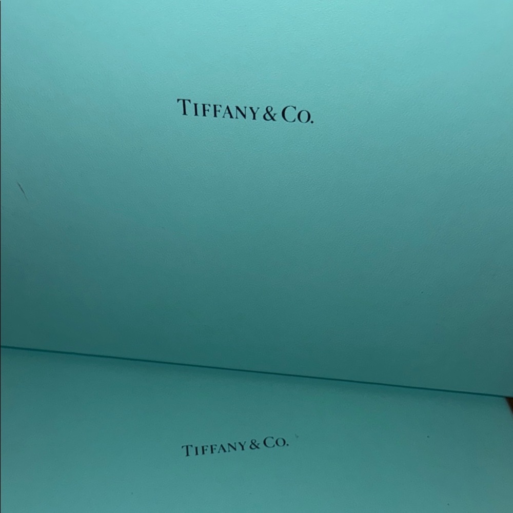 Tiffany & Co. Blue Gift Box Set of 2 - Picture 2 of 4